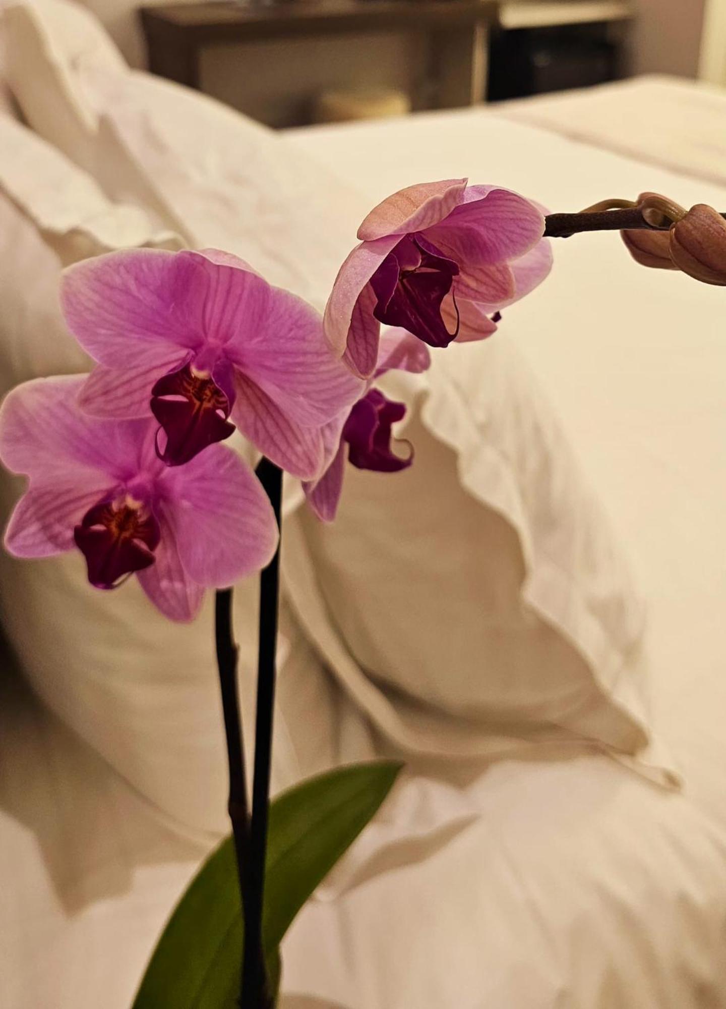 Stoa Rome Boutique Suites Zewnętrze zdjęcie